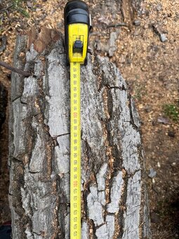 Orechové drevo - 18