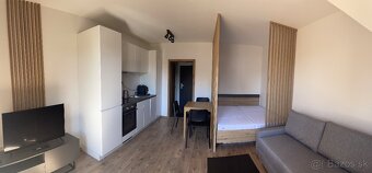 Apartmán v pavčinej lehote -Demänovská dolina-Jasná - 18