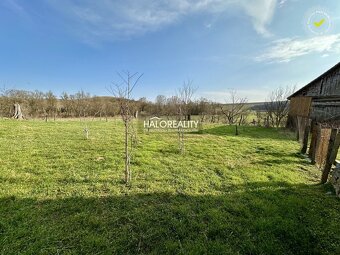 HALO reality - Predaj, rodinný dom Dubno - ZNÍŽENÁ CENA - EX - 18