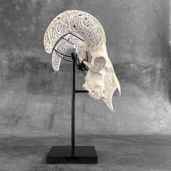 Vyrezávaná lebka barana na kovovom stojane - motív Infinity - 18