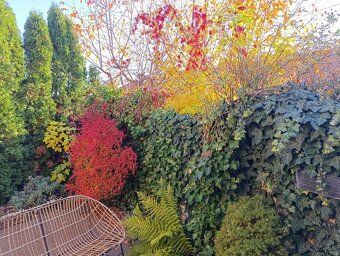 NOVOSTAVBA SAMOSTATNÝ DOM v lukratívnej lokalite pri Trnave - 18