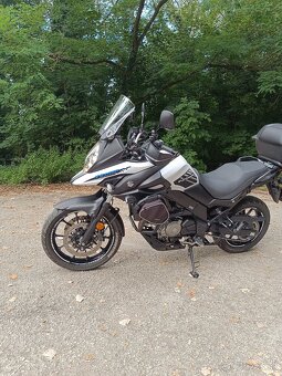 Suzuki v strom - 18