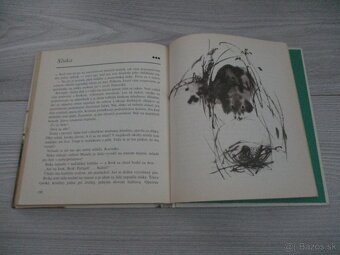 Z poľovníckej kapsy - 18