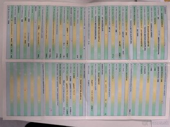 Toyota Corolla Verso, 2.2 diesel, 7 miest - 18