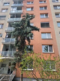2 izb. byt, Súmračná ul. - 18