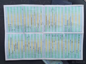 Rozpredám Renault Scénic 2 1.9 DCI 96kw - 18