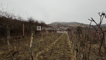 REZERVOVANÉ - Vinohrad 1862 m², v meste Pezinok + 3D - 18
