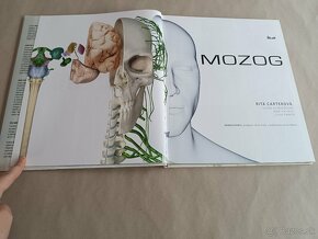 Rita Carterová: Mozog - 18
