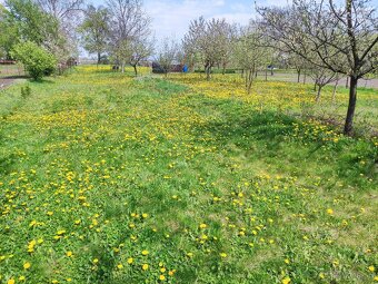 Zrekonštruovaný rodinný dom, 1765m2 pozemok, Očkov - 18