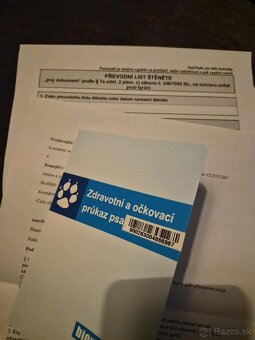 šteniatka labrador a IHNEĎ - 18