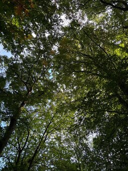 Prenájom moderného 2-izbového bytu - 18