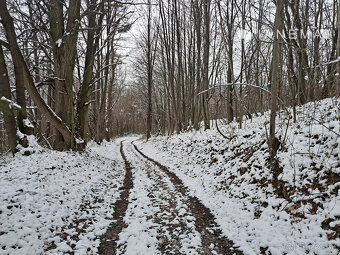 IBA U NÁS Chalupa v prírode pod lesom - Kvašov,okres Púchov - 18