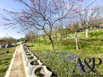 REKREAČNO-ZÁHRADNÁ CHATA, POZEMOK 450M2, KUNOV-ZO III, SENIC - 18