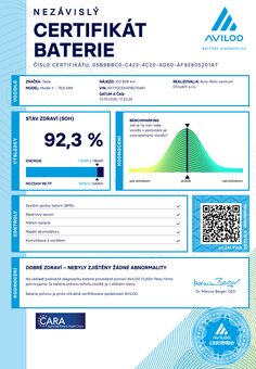 Tesla Model Y 2023 Long Range Dual Motor BERLÍN 378 kW - 18