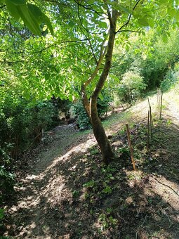 Banicky domcek,chata,chalupa,rekreacny objekt - 18