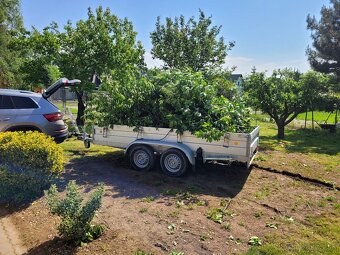 Výkopové,kosenie,cistenie pozemkov, spilovanie ... - 18