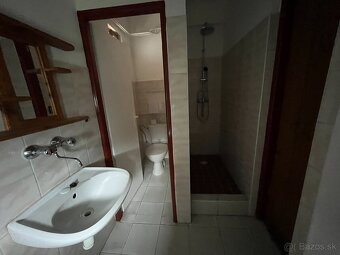 Obchodné priestory v centre obce Borský Mikuláš - 18