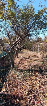 ČISTENIE POZEMKOV💪PÍLENIE DREVA💪KOSENIE KROV.RUČ RYĽOVANIE - 18