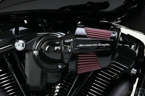 HARLEY DAVIDSON FAT BOY 114 EASTSIDE CUSTOM - 18