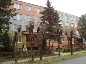 Priestranný 3-izbový byt - 18