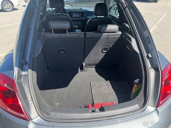 Volkswagen Beetle - 18