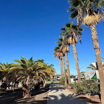 TENERIFE: Slunný apartmán 2+kk, Puerto de la Cruz – Tenerife - 18