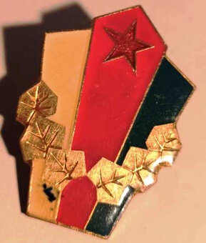 Starožitnosti s vojenskou tématikou - 18