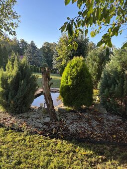 Pozemok s letnou chatkou 1021m2 vhodný na stavbu domu - 18