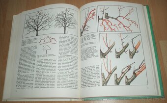 Tvarovanie a rez ovocných drevín - 18