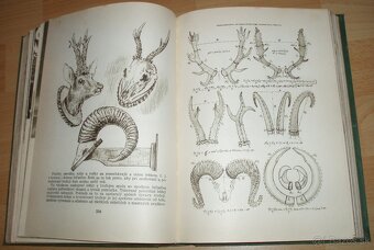 Poľovníctvo v obrazoch - 18
