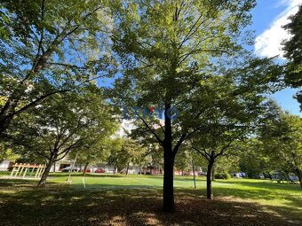 Predaj 3 izbový byt 73m² -ul Nešporova Šaľa - 18