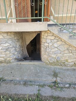 Dom Buttos hraničný prechod Buzica - 18