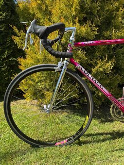 Colnago Tecnos Art Decor - 18
