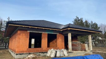 LEŠENIE - DEBNENIE - 18