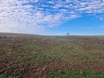 Rodinný dom v obci Bojná - 18