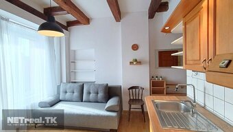 ROMANTICKÉ BÝVANIE – ATYPICKÝ PODKROVNÝ- Garzónka - - 18