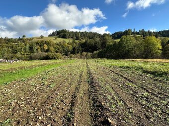 Na predaj pozemok Veľká Franková, vhodný na RD alebo chaty. - 18