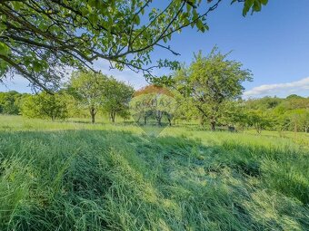 Rodinný dom s pozemkom až 5 274 m2 | Veľká Ves - 18