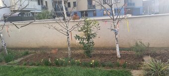NA PRENÁJOM: 3izbový byt 53 m2 s terasou, záhradkou a parkov - 18
