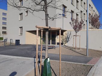 1izb novostavba s garazou Bory byvanie - 18