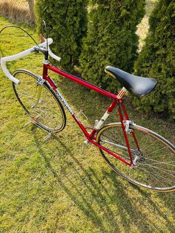 Colnago Super Profil Campagnolo 50th - 18