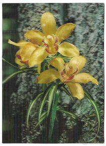 3D pohľadnice (21-40 ), čisté v top stave, 1 ks za 1 € - 18