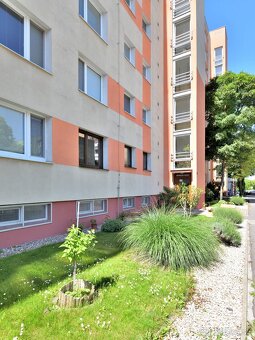 3 izbový byt na predaj, vyvýšené prízemie, Dunajská Streda - 18