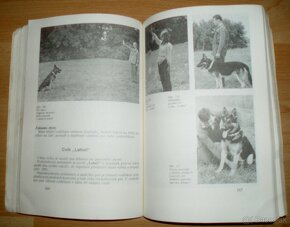 Pes a jeho výcvik - 18