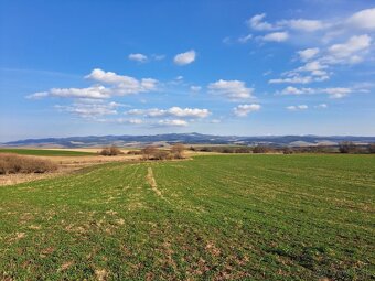 Podhorany – 5.351 m2 ORNÁ PÔDA v podiele 1/1 – Predaj - 18