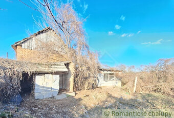 Pôvodná chalúpka v kľudnej časti podunajskej vinárskej ded - 18