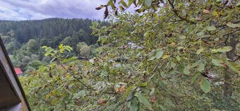 Predaj: Drevenica na kamenných základoch v Kolároviciach pri - 18