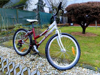 Kenzel-Detský bicykel - 18