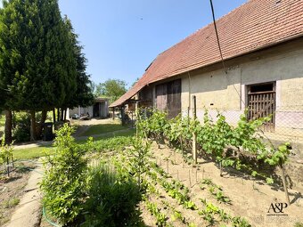 RODINNÝ DOM V HABÁNSKOM DVORE, POZEMOK 1910M2, SOBOTIŠTE, ok - 18