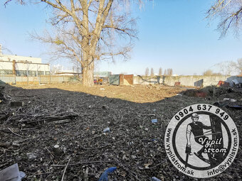 Pilenie a orezavanie stromov, kosenie a udrzba zahrad - 18